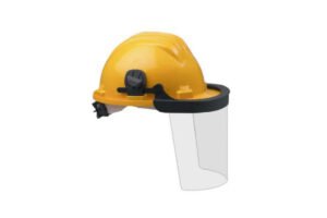 Visor with Helmet